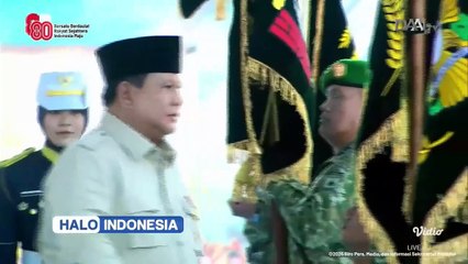 Halo Indonesia (DAAI TV) 11/8/2025