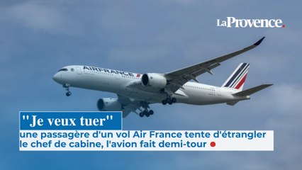 "Je veux tuer" une passagère d'un vol Air France tente d'étrangler  le chef de cabine, l'avion fait demi-tour