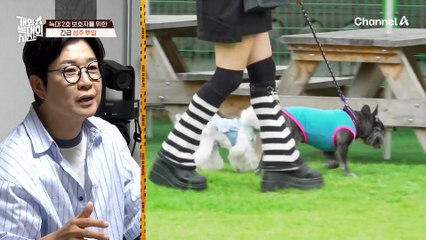 변하지 않았던 보호자의 마음이 움직였다! 늑대 2호네 대청소 시작!