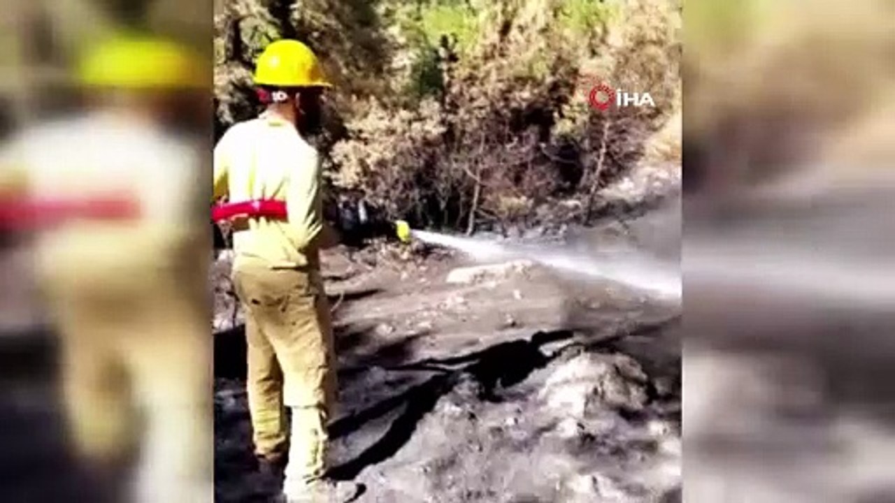 Silifke’den acı görüntüler! Yeşil cennet kül oldu