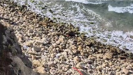 Şile sahilinde roket başlığı olduğu değerlendirilen cisim bulundu