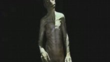 Les Reptiliens, du mythe à la réalité 2/4