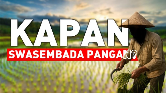 Kapan Swasembada Pangan Terwujud?