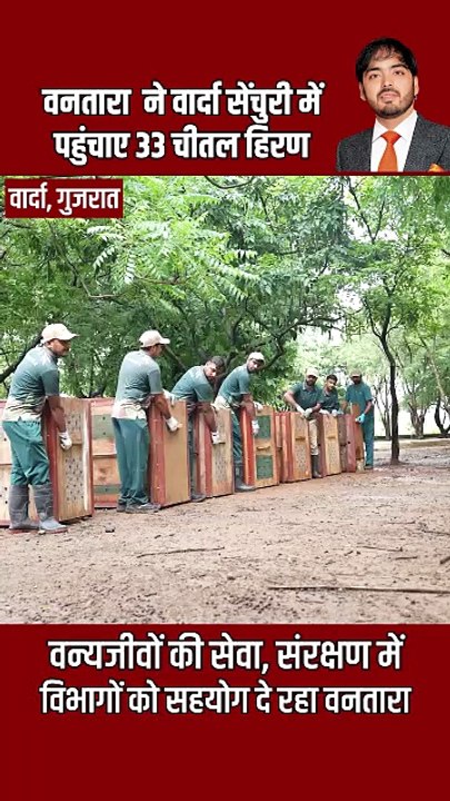 हर जीवन है अनमोल ❤️ वनतारा ने 33 चीतल हिरणों को दिलाया नया घर 🦌 #Vantara #AnantAmbani #WildlifeConservation #Wildlife #SaveWildlife #HealingNature