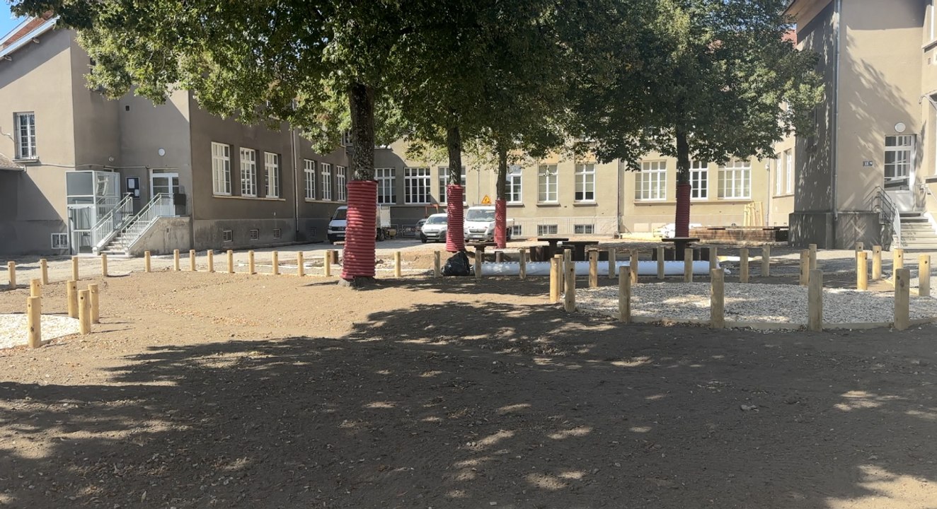 Metz végétalise ses cours d'écoles pendant l'été