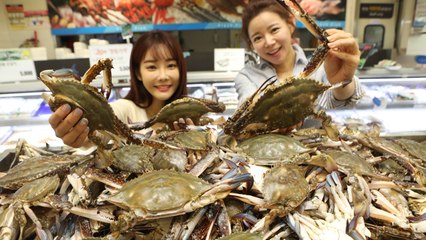 [기업] "금어기 풀린다"...대형마트 3사, 21일부터 '햇꽃게 대전' / YTN