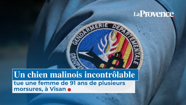 Un chien malinois incontrôlable tue une femme de 91 ans de plusieurs morsures, à Visan