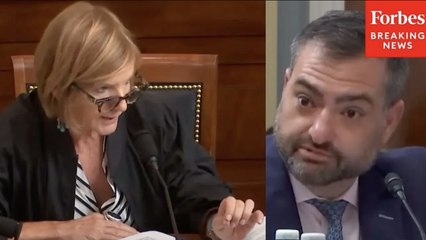 'That Just Doesn't Make Any Sense': Susie Lee Grills Permitting Expert Over Permitting Reform