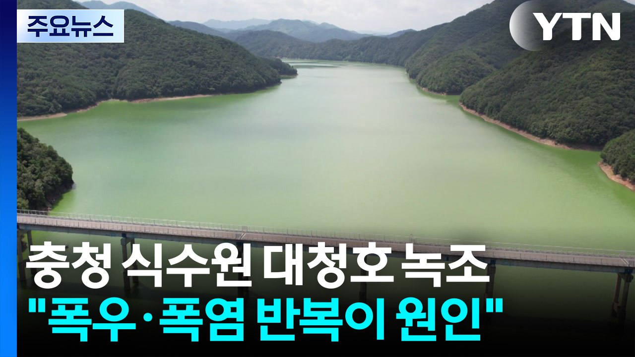 충청 식수원 대청호 녹조..."폭우·폭염 반복 원인" / YTN
