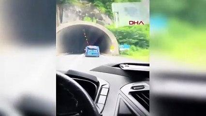 Servet değerinde kobra zehri ele geçirildi