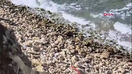 Roket başlığı zannedildi! Şile’de sahile vuran cisim imha edildi