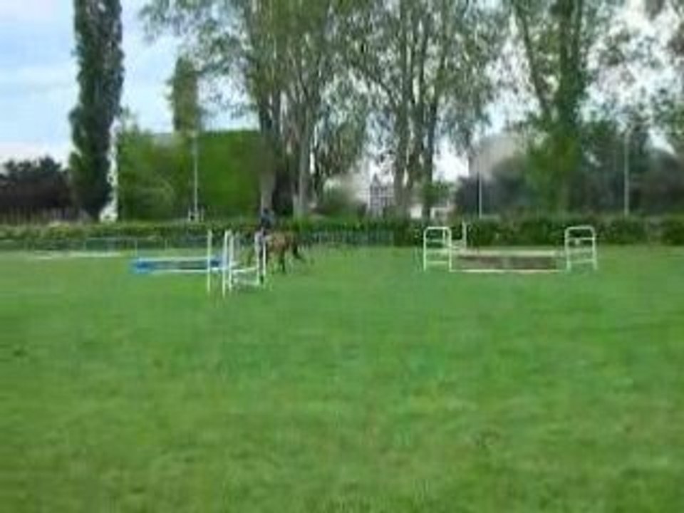2ème cavalière sur Haliple CSO G4-5 FDS 2008