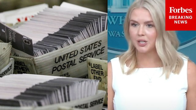 Karoline Leavitt: 'Quite Mind-Boggling' That Democrats Oppose Trump's Calls To End Mail-In Ballots