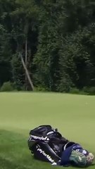 Durante la ronda final del Campeonato BMW, una mosca empujó la pelota de Tommy Fleetwood hacia el hoyo