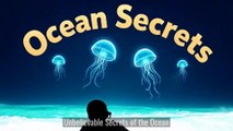 0032 Deep Secrets: The Ocean’s Most Unbelievable Facts