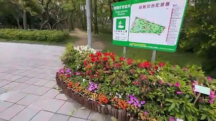 Taiwan VLOG Exploring Taipei, Jiufen, Night Markets, Boba, Teahouses,  bein silly-1