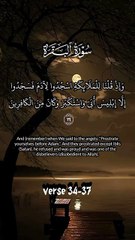 surah baqrah verse 34-37 #surah #duet #baqrah #recitation #alquran #love #shorts