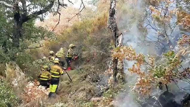 Brigadistas actuando en los incendios de León