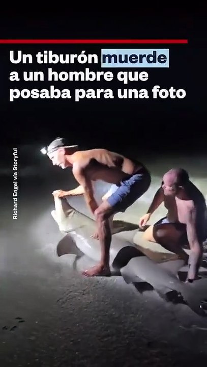 Tiburon