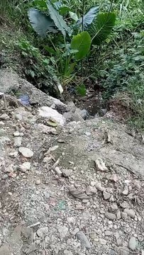 Residentes de Hato Nuevo de Manoguayabo denuncian mal estado de sus calles