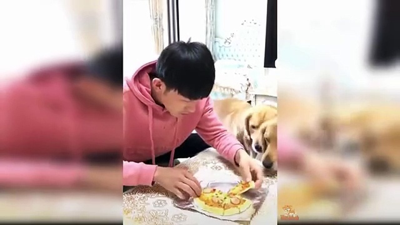 “😂 Funny Cat Videos 2025 | Hilarious Cats Compilation That Will Make You Laugh Non-Stop 🐱🤣”