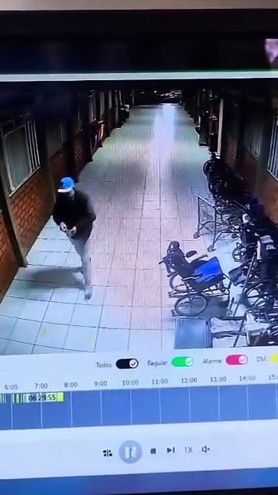 Vídeos mostram onça-parda passeando por escola da Apae e pelas ruas de Cascavel