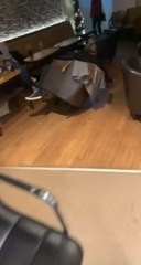 Woman Falls After Leaning Back in Dodgy Chair