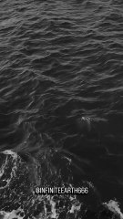 restart reset and refocus