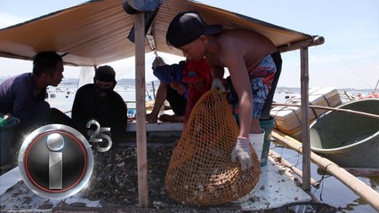11 taong gulang, nangunguha ng tahong sa dagat para makapagtapos ng pag-aaral | I-Witness