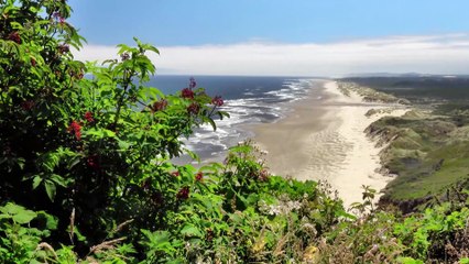 Musique d’Ambiance Calme pour se Relaxer Vol.4 | Détente Océanique 4K