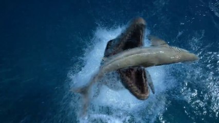 Sea Monsters: A Prehistoric Adventure National Geographic Film,