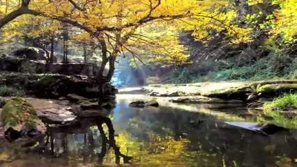 Tranquil Horizons Music to Heal Anxiety, Depression & Reconnect with Inner Calm #20