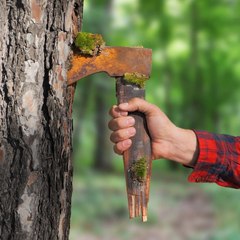 Transforming Old Axes into Unique and Stunning New Designs: Watch the Magic