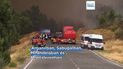 A hőség alábbhagyott, de az erdőtüzeket nem sikerül visszaszorítani Portugáliában