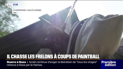 Pour détruire les nids de frelons, ce désinsectiseur utilise un paintball
