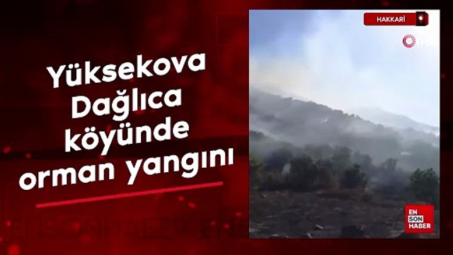 Hakkari Yüksekova Dağlıca köyünde orman yangını