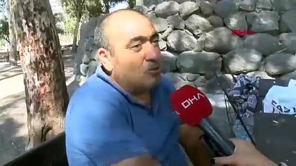 Denizdeki mide bulandıran kabus geri döndü!