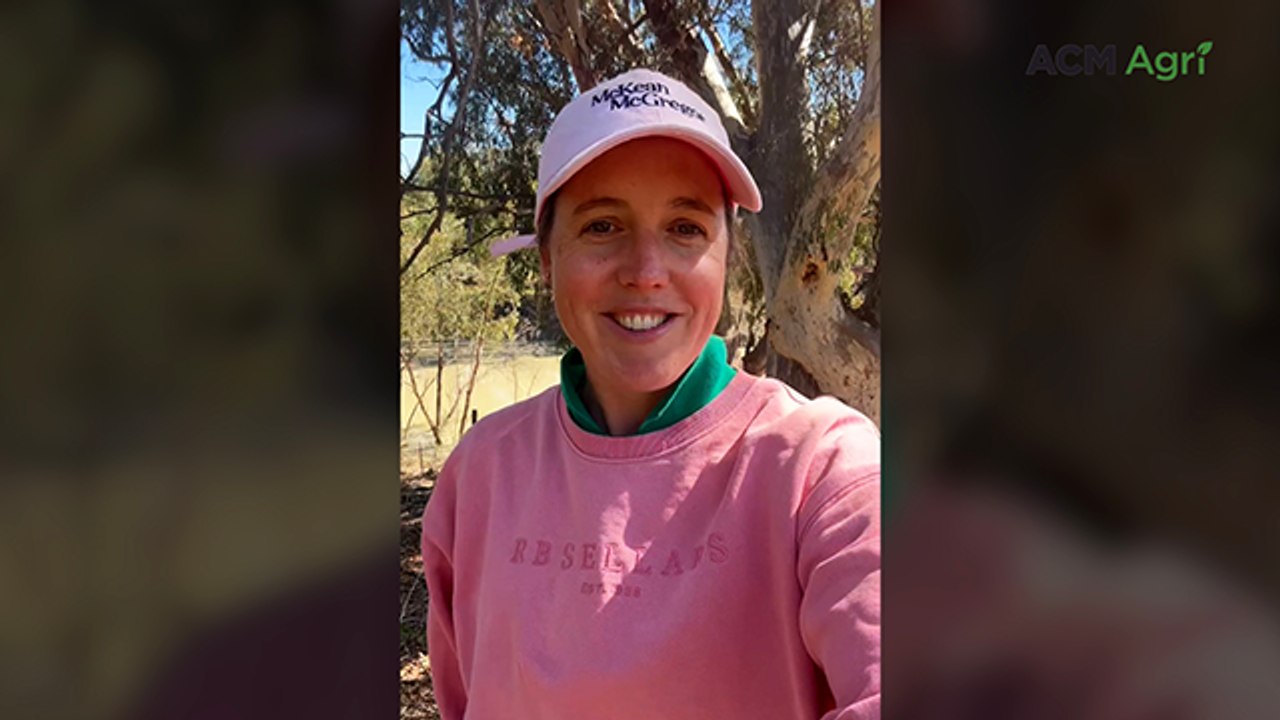 Red Dirt Lamb expands from family farm to community meat service