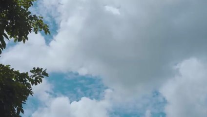 10001040702-Room Cool Car Camping with My Dog. Korean Chimaek Chicken and Beer.  Grass Bug ASMR