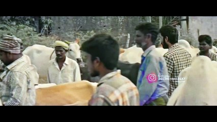 Asuran X Cooli _Dhanush ❤‍🔥_ RajiniKanth_Manji Warrier _ Dscinemas24x7 -4K_4K_60fps