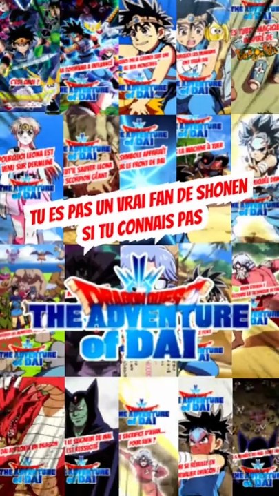 Tu peux pas être un VRAI fan de Shonen si tu connais pas La quête de Daï ???