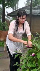 Farming in the Rain 🌦⚡️ _ Heavy Rain fall _deepsleep _rain _asmrrain _shorts go