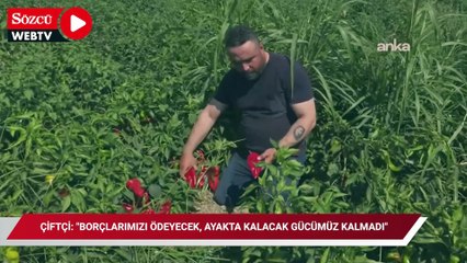 İzmirli çiftçi: "Borçlarımızı ödeyecek, ayakta kalacak gücümüz kalmadı"