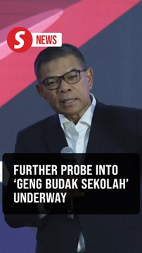Further investigations underway into 'geng budak sekolah' involving minors