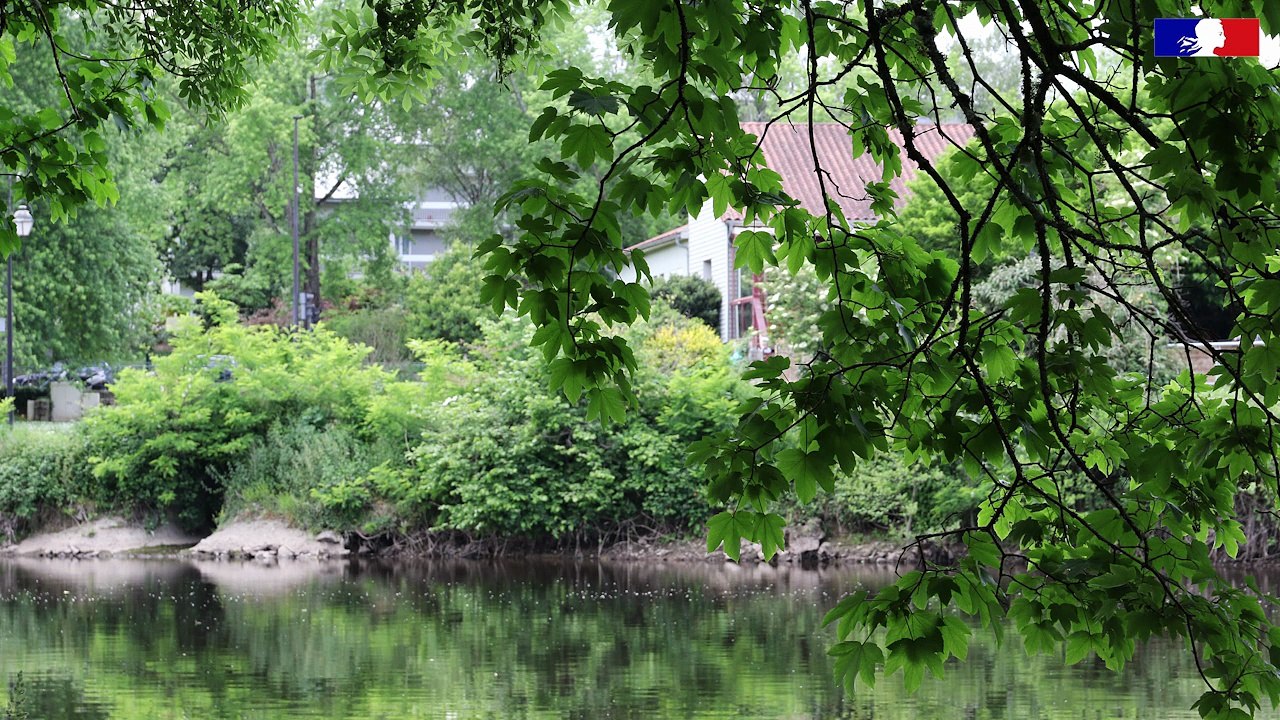 Limoges comme j'aime - Elsa, passionnée de Limoges, partage ses coins préférés - DREAl Nouvelle-Aquitaine