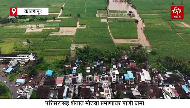 कोल्हापुरात पूरस्थिती; पंचगंगा नदीच्या पुरात मंदिरासह शेती गेली पाण्याखाली, पाहा ड्रोन व्हिडिओ