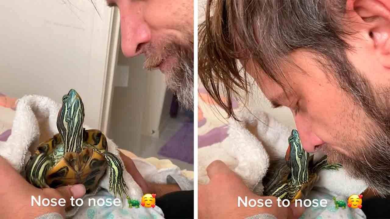 🐢✨ Quand une tortue se prend pour un chien !
