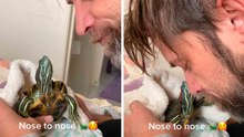 🐢✨ Wenn sich eine Schildkröte wie ein Hund benimmt!
