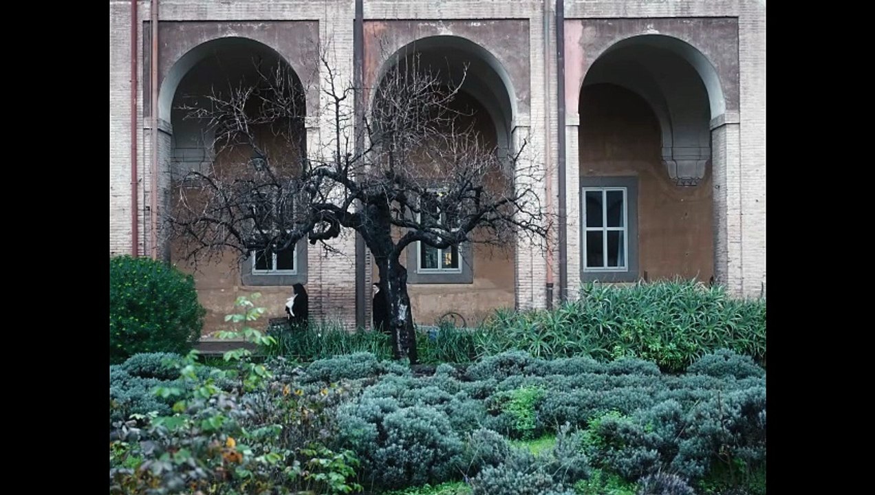 Agnus Dei (Trailer Ufficiale HD)