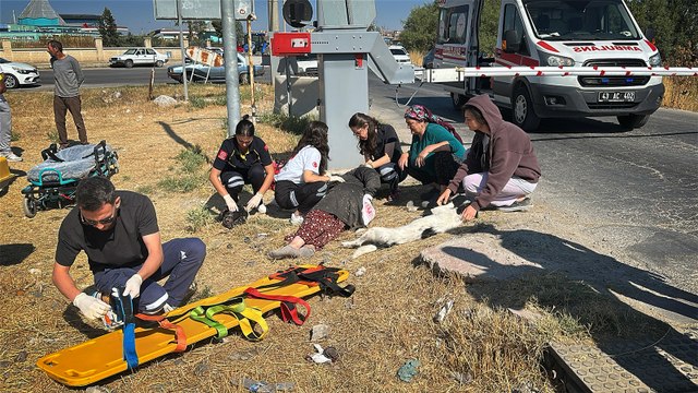 Hemzemin geçitte yük treni çarpan yaya yaralandı